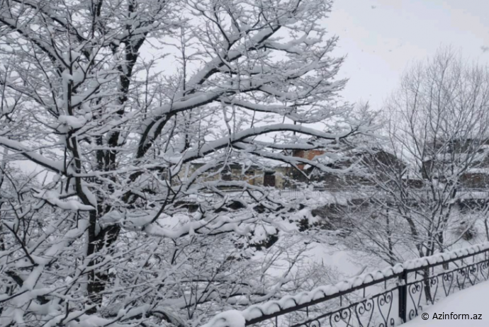 Qaxda qarın hündürlüyü 88 sm olub - FAKTİKİ HAVA