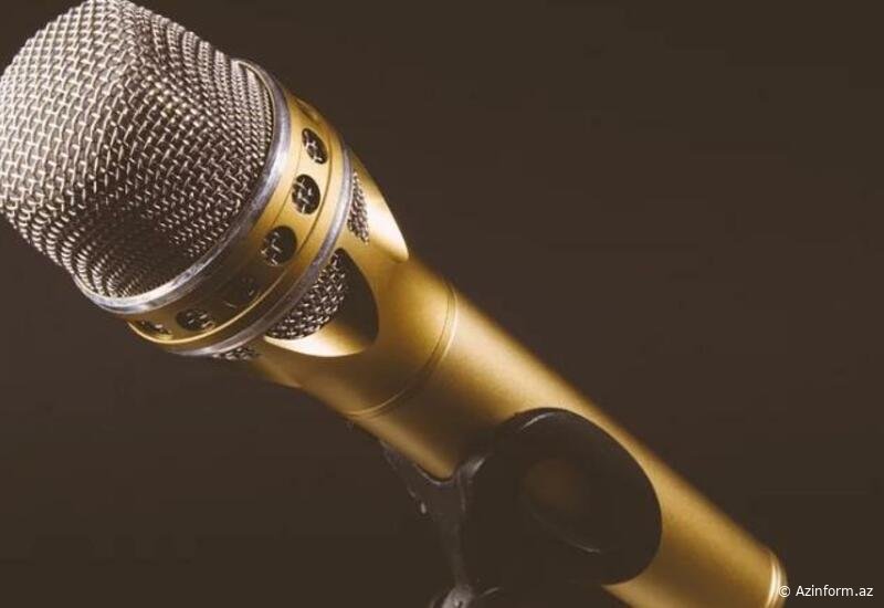 Vəhşicəsinə döyüldü, dünyanın ən zəngin qadın sənətçisi oldu - FOTO