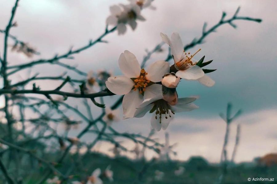 Aprel ayının HAVA PROQNOZU
