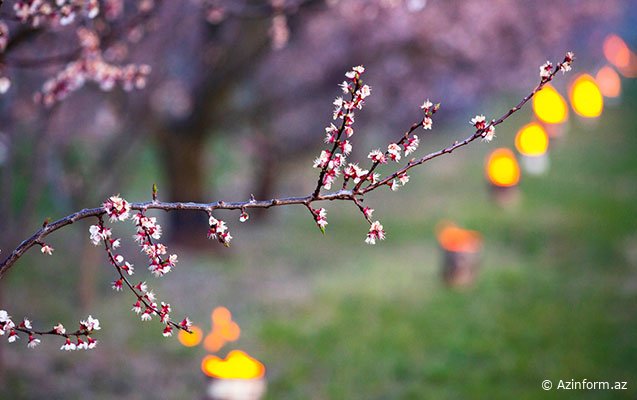 Bu gün Yel çərşənbəsidir