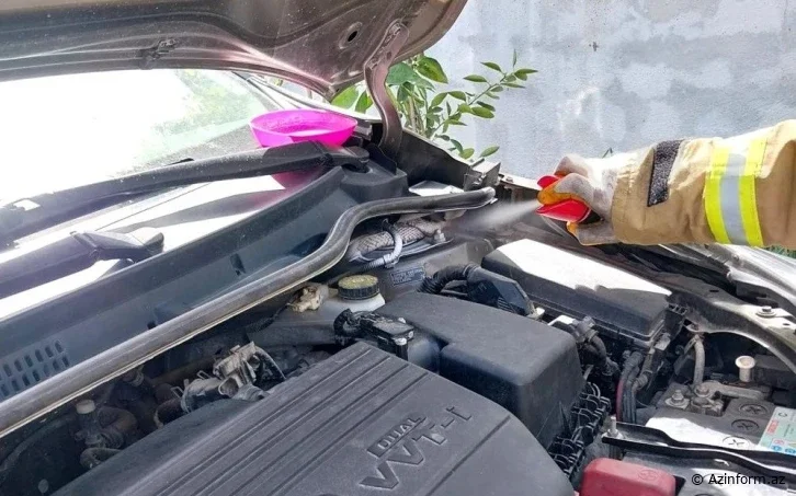 Avtomobilin mühərrikinə girən zəhərli ilan QORXULU ANLAR YAŞATDI -  VİDEO