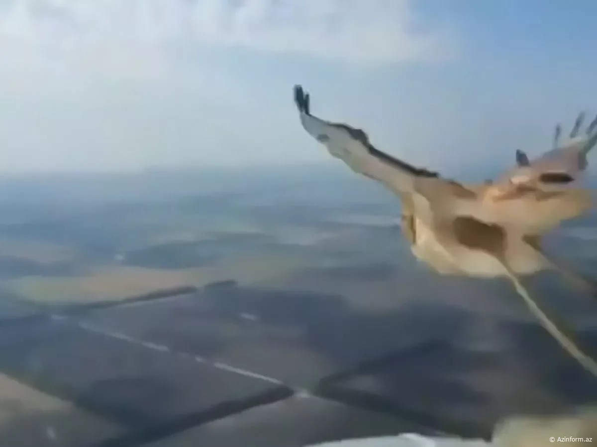 Nəhəng quşun təyyarənin ön şüşəsinə çırpılmasının dəhşətli ANLARI - VİDEO