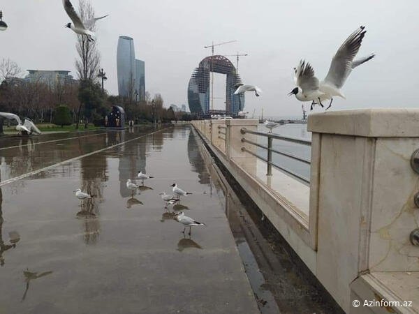 Güclü külək əsəcək, leysan olacaq… – XƏBƏRDARLIQ