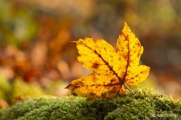 Oktyabrın ilk beş günü hava necə olacaq?